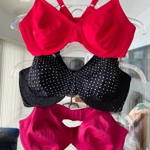 36D Red, black/white spots, raspberry, lavender, maroon. Beige, baby blue,white.